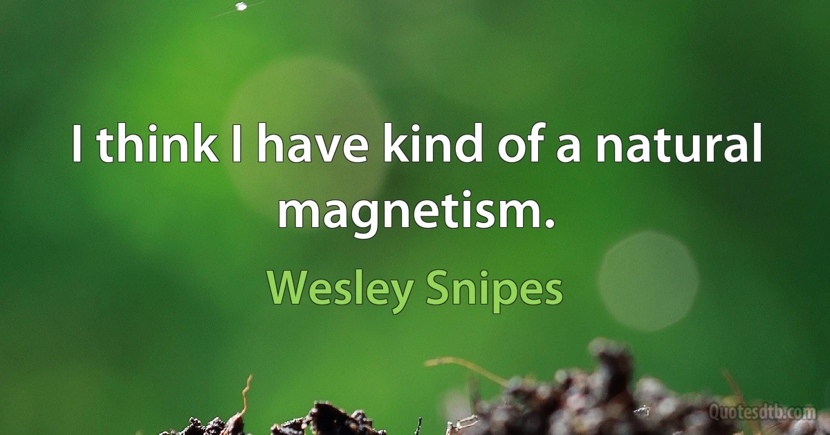 I think I have kind of a natural magnetism. (Wesley Snipes)