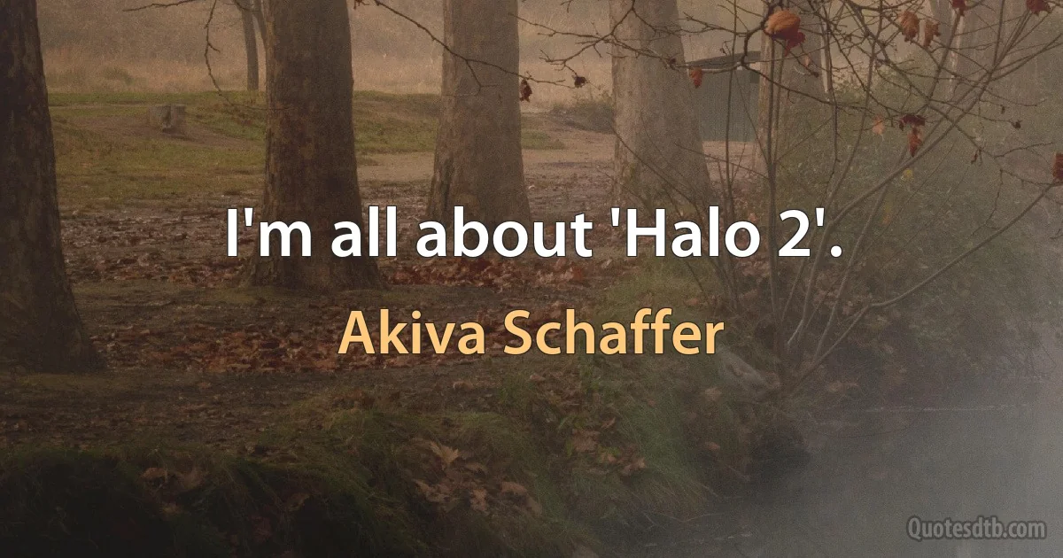 I'm all about 'Halo 2'. (Akiva Schaffer)