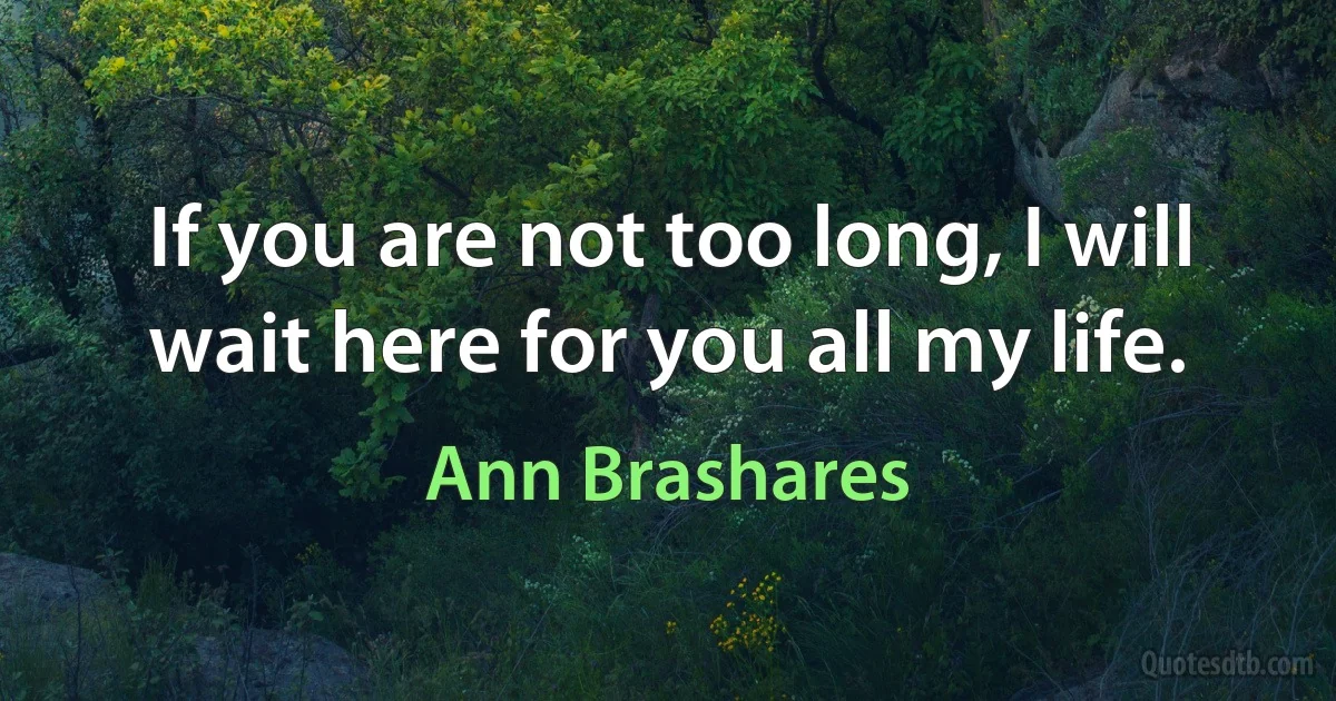 If you are not too long, I will wait here for you all my life. (Ann Brashares)