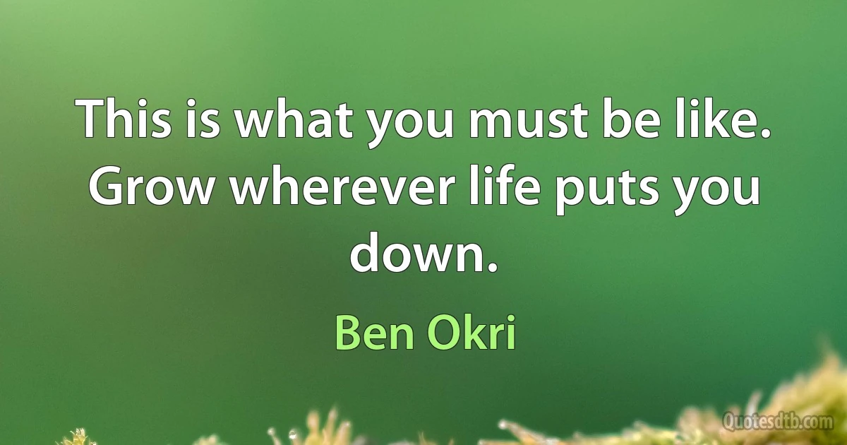 This is what you must be like. Grow wherever life puts you down. (Ben Okri)