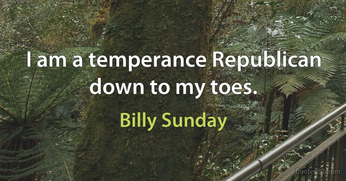 I am a temperance Republican down to my toes. (Billy Sunday)