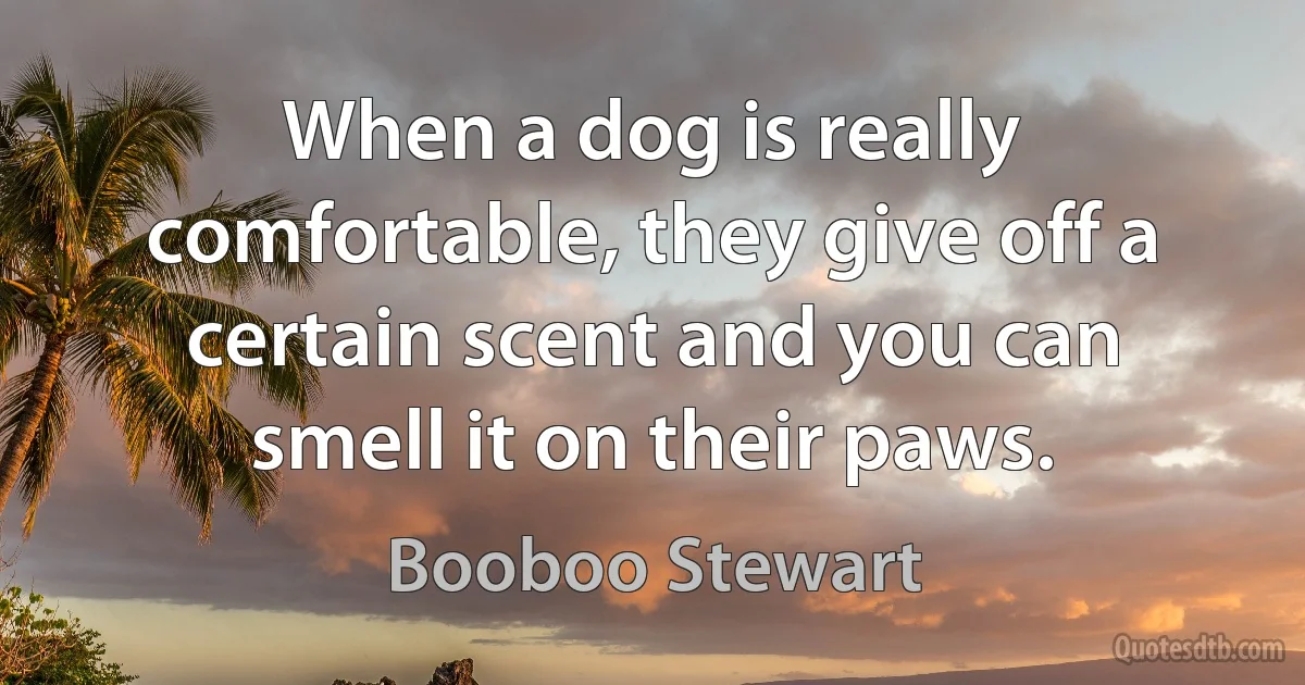 When a dog is really comfortable, they give off a certain scent and you can smell it on their paws. (Booboo Stewart)