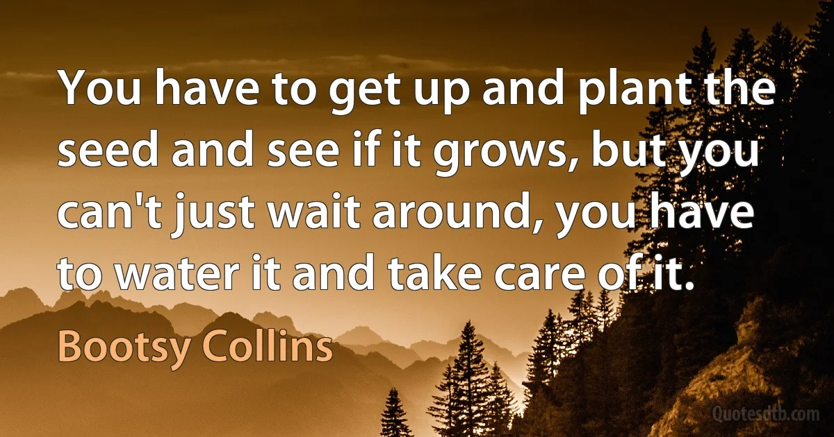 You have to get up and plant the seed and see if it grows, but you can't just wait around, you have to water it and take care of it. (Bootsy Collins)