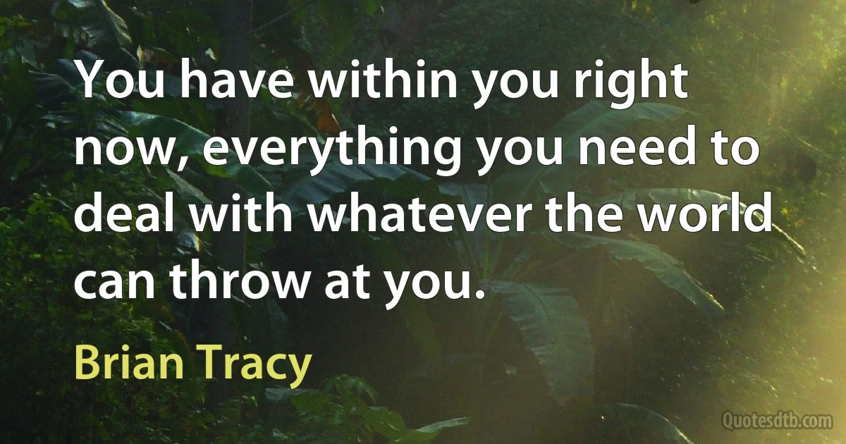 You have within you right now, everything you need to deal with whatever the world can throw at you. (Brian Tracy)