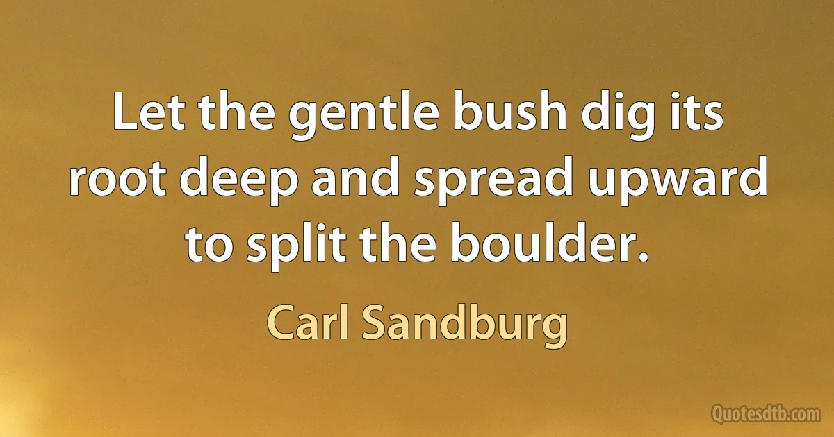 Let the gentle bush dig its root deep and spread upward to split the boulder. (Carl Sandburg)