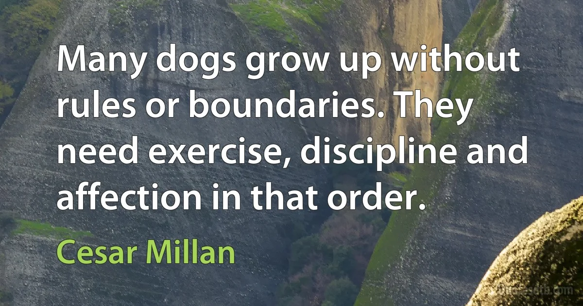 Many dogs grow up without rules or boundaries. They need exercise, discipline and affection in that order. (Cesar Millan)