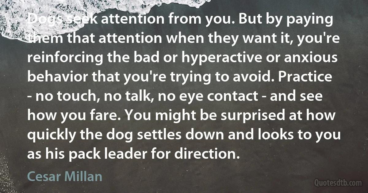 Dogs seek attention from you. But by paying them that attention when they want it, you're reinforcing the bad or hyperactive or anxious behavior that you're trying to avoid. Practice - no touch, no talk, no eye contact - and see how you fare. You might be surprised at how quickly the dog settles down and looks to you as his pack leader for direction. (Cesar Millan)