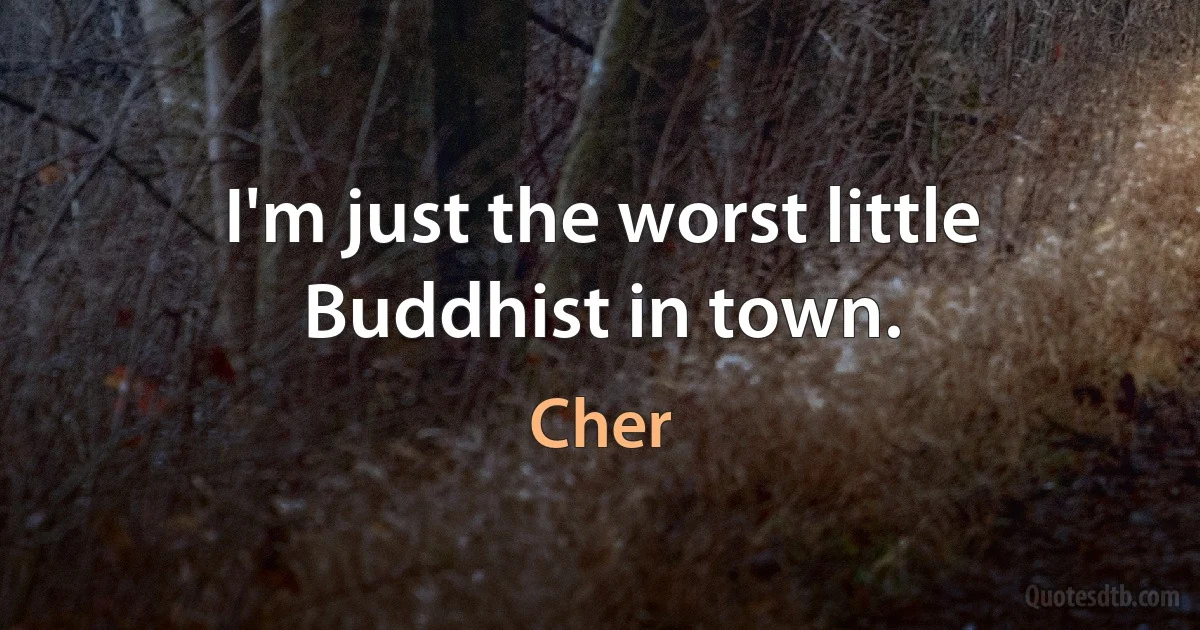 I'm just the worst little Buddhist in town. (Cher)