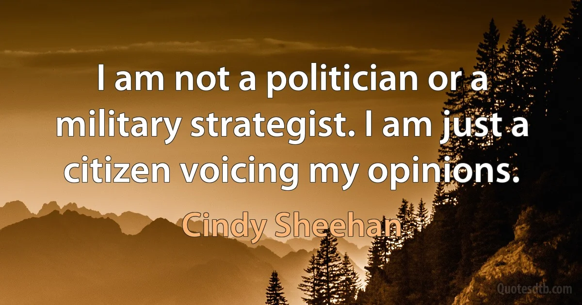 I am not a politician or a military strategist. I am just a citizen voicing my opinions. (Cindy Sheehan)