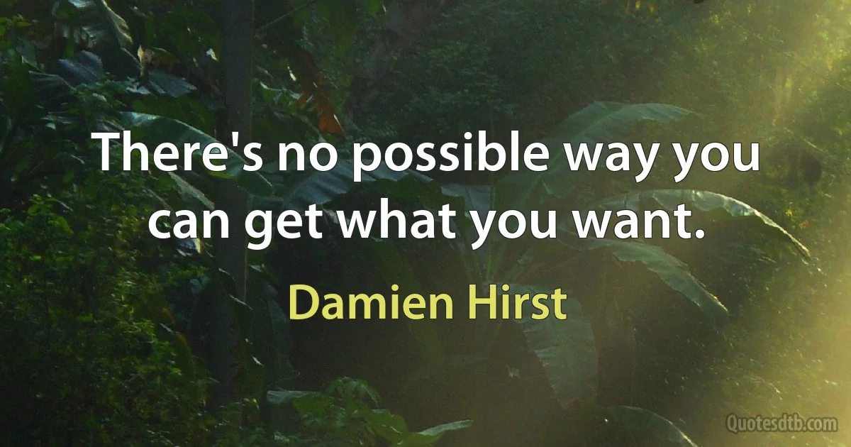 There's no possible way you can get what you want. (Damien Hirst)