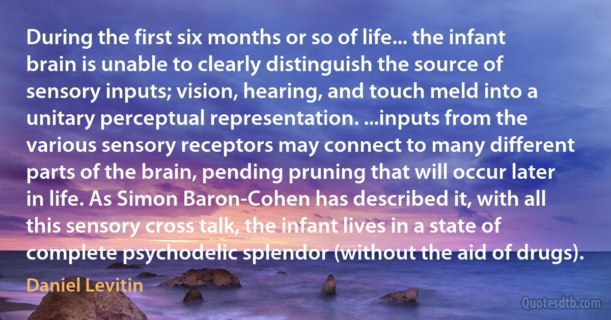 During the first six months or so of life... the infant brain is unable to clearly distinguish the source of sensory inputs; vision, hearing, and touch meld into a unitary perceptual representation. ...inputs from the various sensory receptors may connect to many different parts of the brain, pending pruning that will occur later in life. As Simon Baron-Cohen has described it, with all this sensory cross talk, the infant lives in a state of complete psychodelic splendor (without the aid of drugs). (Daniel Levitin)