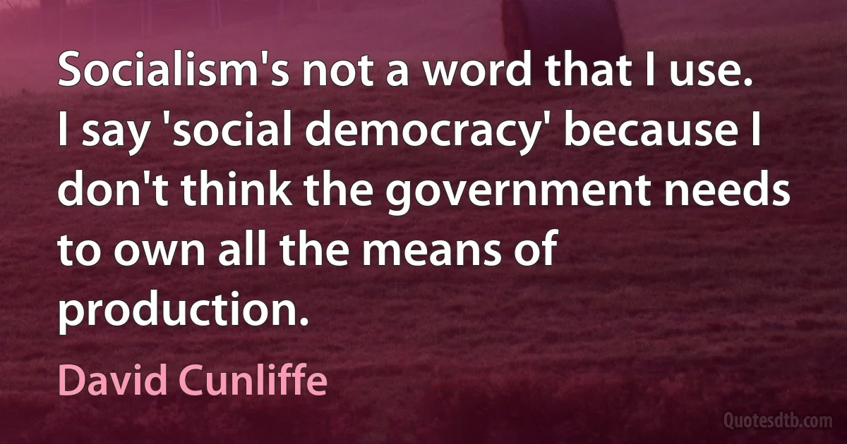 Socialism's not a word that I use. I say 'social democracy' because I don't think the government needs to own all the means of production. (David Cunliffe)