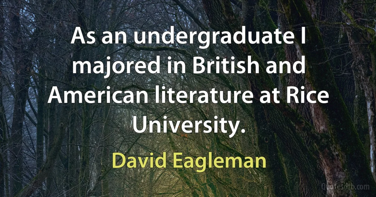 As an undergraduate I majored in British and American literature at Rice University. (David Eagleman)