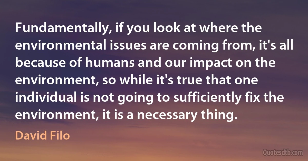 Fundamentally, if you look at where the environmental issues are coming from, it's all because of humans and our impact on the environment, so while it's true that one individual is not going to sufficiently fix the environment, it is a necessary thing. (David Filo)