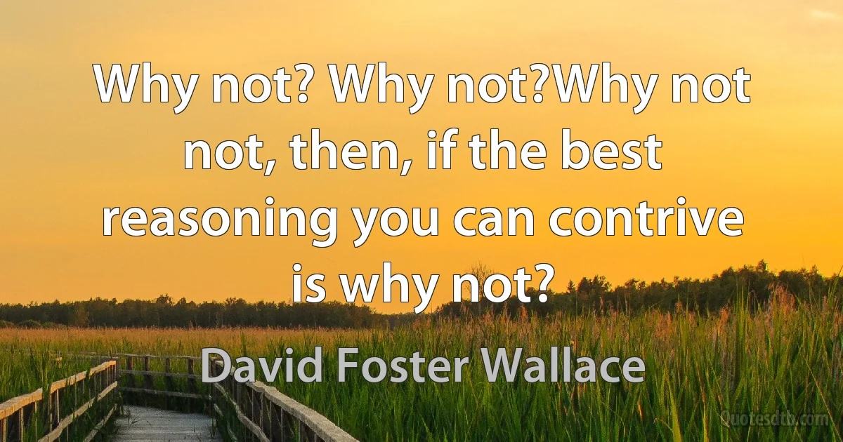 Why not? Why not?Why not not, then, if the best reasoning you can contrive is why not? (David Foster Wallace)