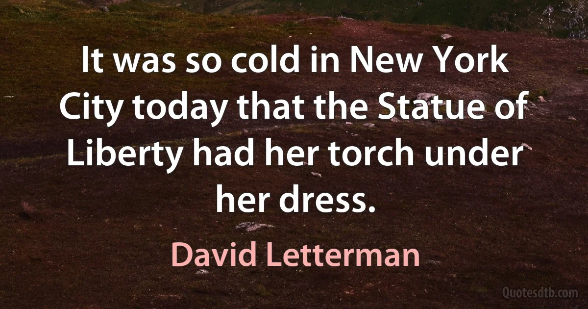 It was so cold in New York City today that the Statue of Liberty had her torch under her dress. (David Letterman)