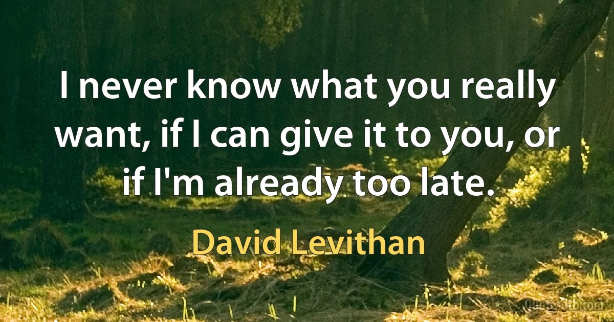 I never know what you really want, if I can give it to you, or if I'm already too late. (David Levithan)