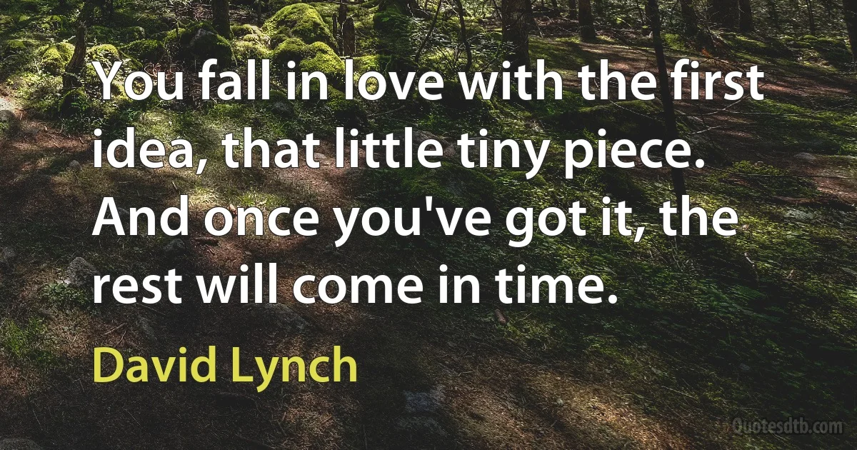 You fall in love with the first idea, that little tiny piece. And once you've got it, the rest will come in time. (David Lynch)