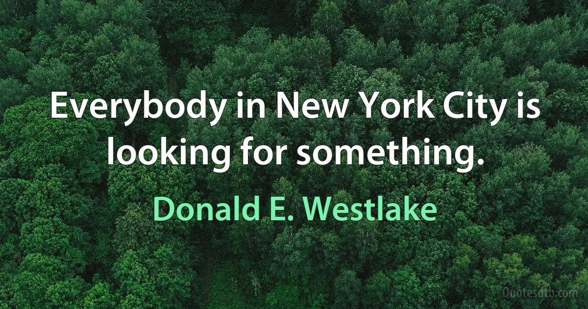 Everybody in New York City is looking for something. (Donald E. Westlake)