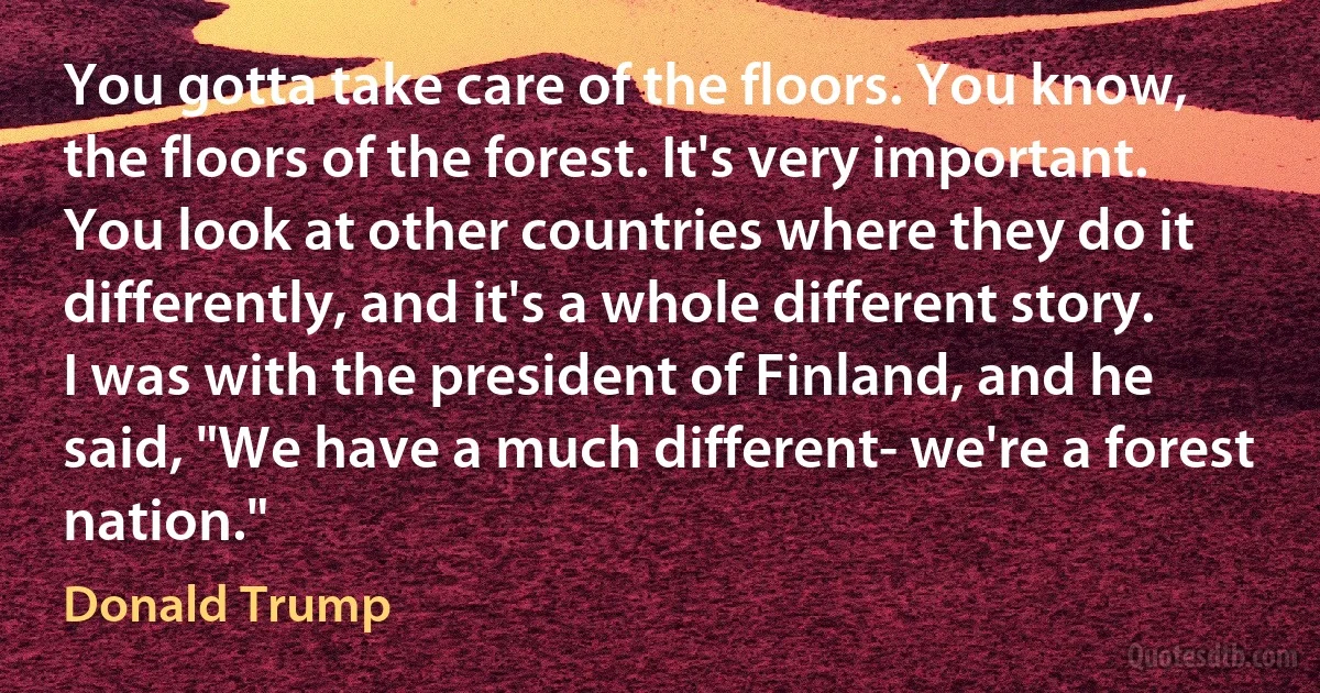 You gotta take care of the floors. You know, the floors of the forest. It's very important. You look at other countries where they do it differently, and it's a whole different story. I was with the president of Finland, and he said, "We have a much different- we're a forest nation." (Donald Trump)