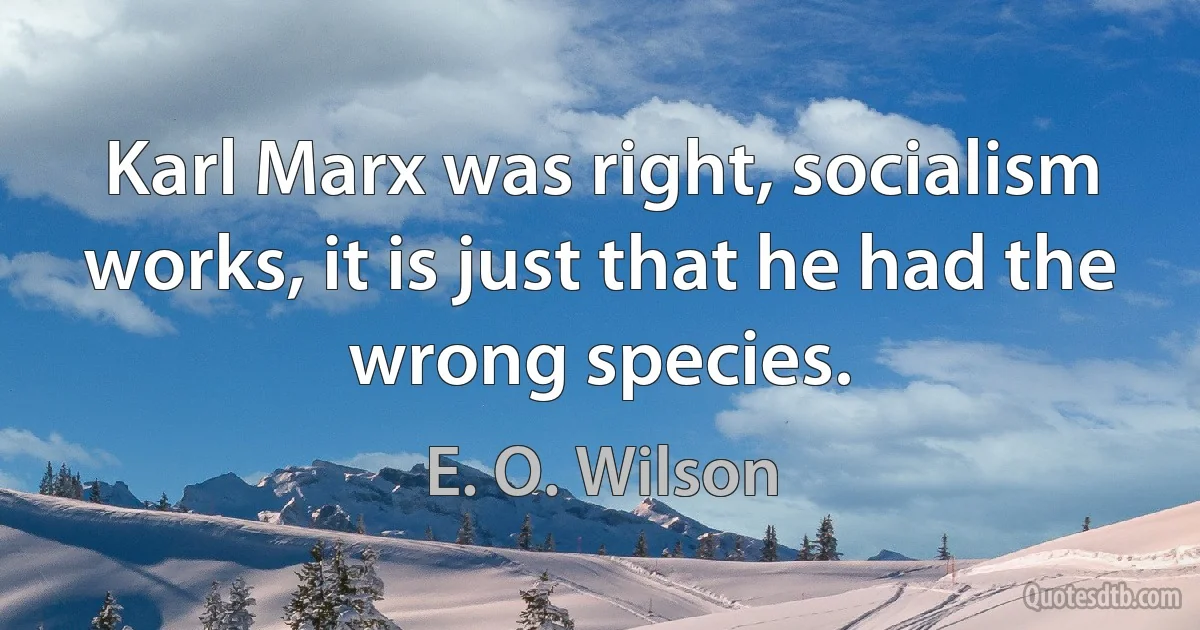 Karl Marx was right, socialism works, it is just that he had the wrong species. (E. O. Wilson)