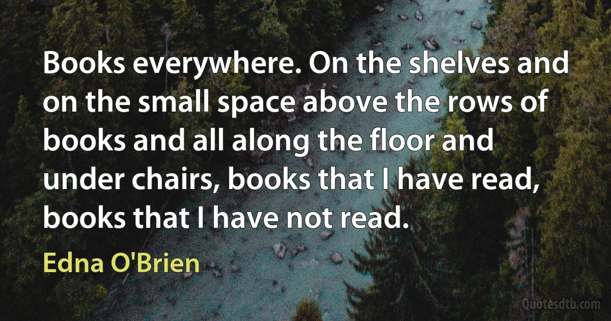 Books everywhere. On the shelves and on the small space above the rows of books and all along the floor and under chairs, books that I have read, books that I have not read. (Edna O'Brien)