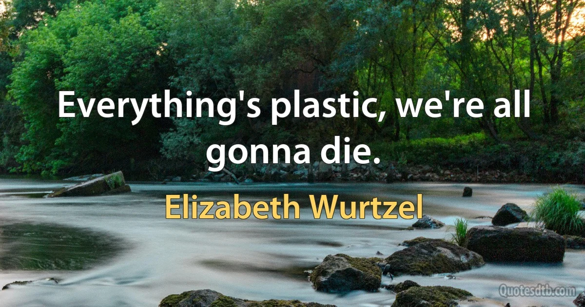 Everything's plastic, we're all gonna die. (Elizabeth Wurtzel)