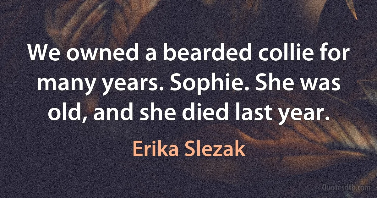 We owned a bearded collie for many years. Sophie. She was old, and she died last year. (Erika Slezak)