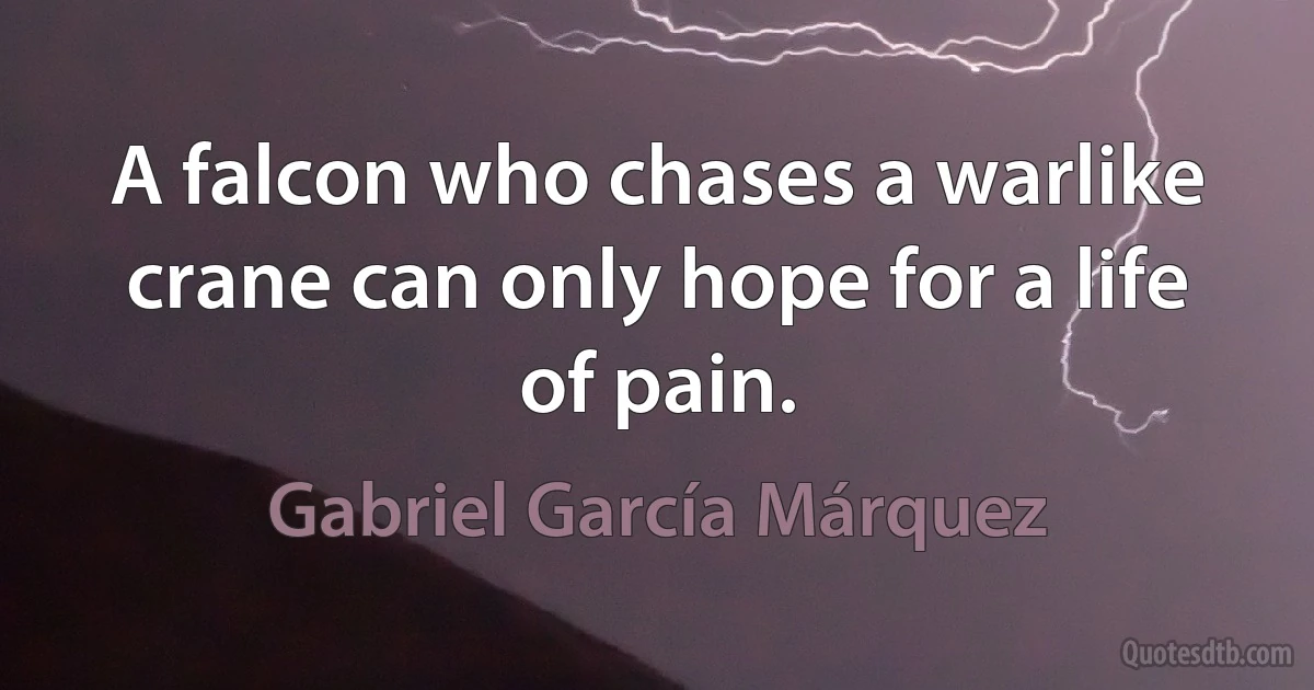 A falcon who chases a warlike crane can only hope for a life of pain. (Gabriel García Márquez)