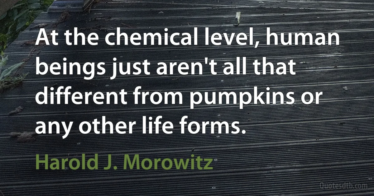 At the chemical level, human beings just aren't all that different from pumpkins or any other life forms. (Harold J. Morowitz)