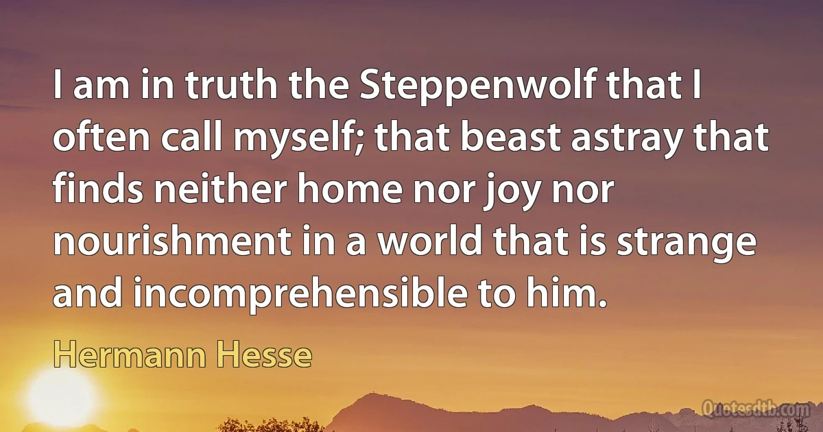 I am in truth the Steppenwolf that I often call myself; that beast astray that finds neither home nor joy nor nourishment in a world that is strange and incomprehensible to him. (Hermann Hesse)