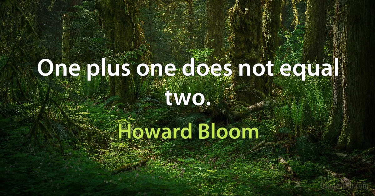 One plus one does not equal two. (Howard Bloom)