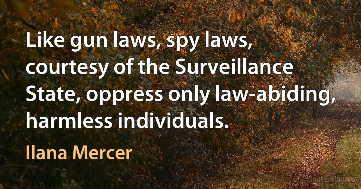 Like gun laws, spy laws, courtesy of the Surveillance State, oppress only law-abiding, harmless individuals. (Ilana Mercer)