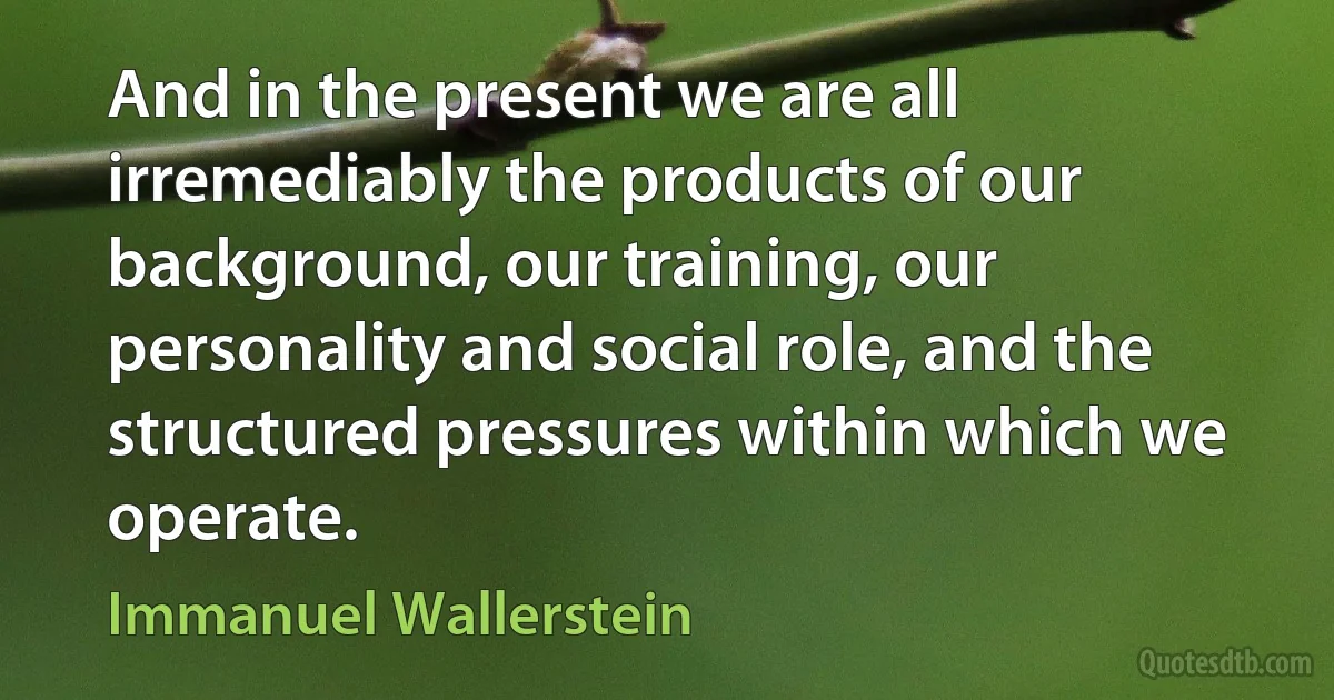 And in the present we are all irremediably the products of our background, our training, our personality and social role, and the structured pressures within which we operate. (Immanuel Wallerstein)