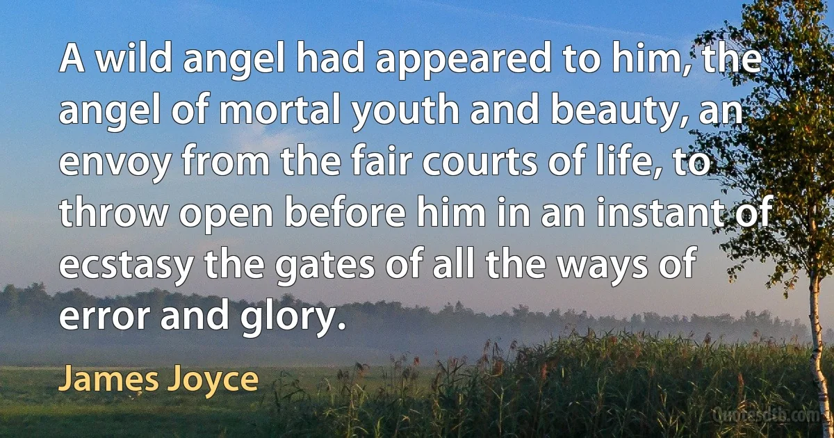 A wild angel had appeared to him, the angel of mortal youth and beauty, an envoy from the fair courts of life, to throw open before him in an instant of ecstasy the gates of all the ways of error and glory. (James Joyce)