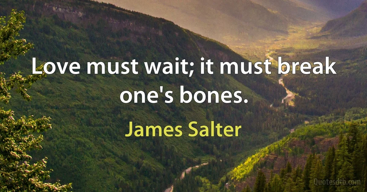 Love must wait; it must break one's bones. (James Salter)