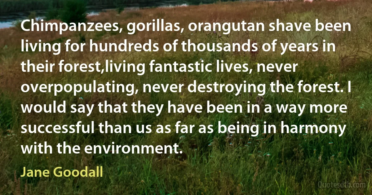 Chimpanzees, gorillas, orangutan shave been living for hundreds of thousands of years in their forest,living fantastic lives, never overpopulating, never destroying the forest. I would say that they have been in a way more successful than us as far as being in harmony with the environment. (Jane Goodall)