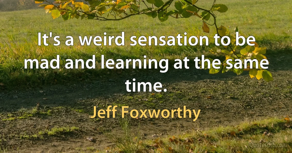 It's a weird sensation to be mad and learning at the same time. (Jeff Foxworthy)