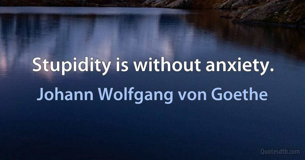 Stupidity is without anxiety. (Johann Wolfgang von Goethe)