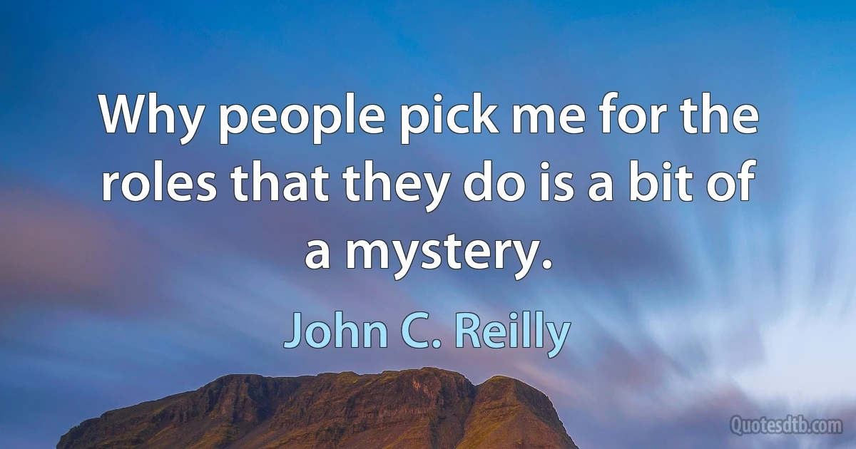 Why people pick me for the roles that they do is a bit of a mystery. (John C. Reilly)