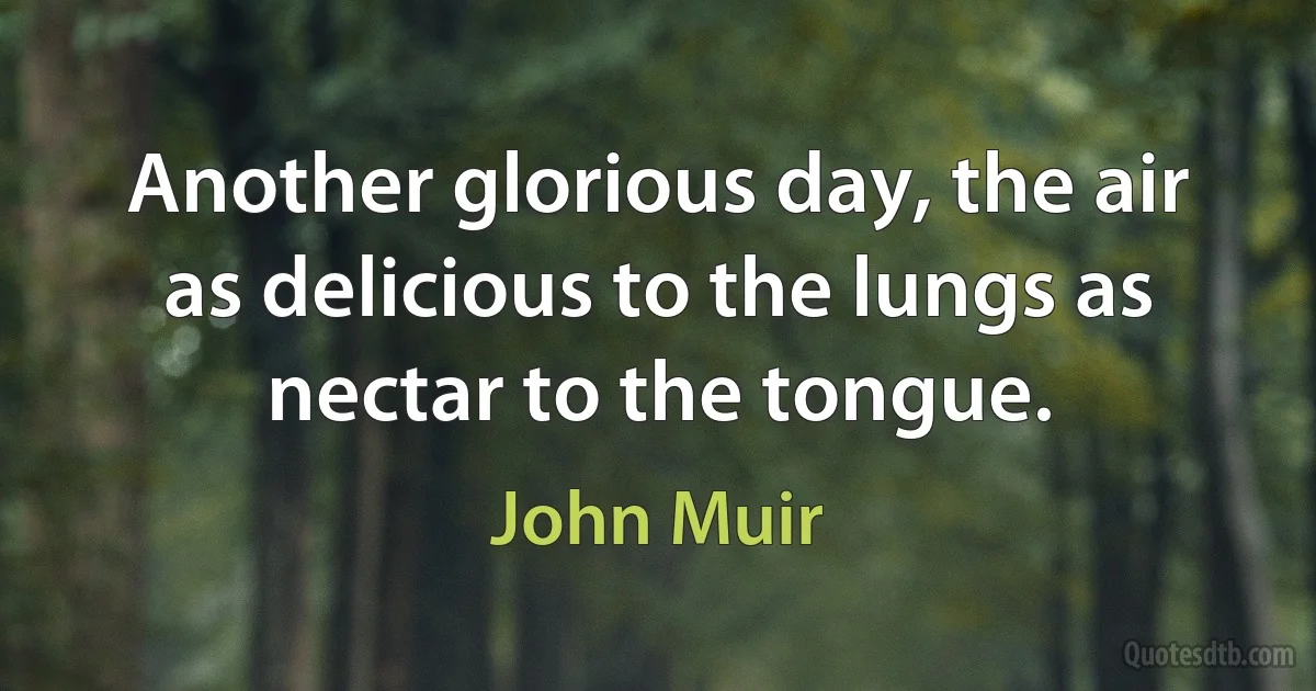 Another glorious day, the air as delicious to the lungs as nectar to the tongue. (John Muir)