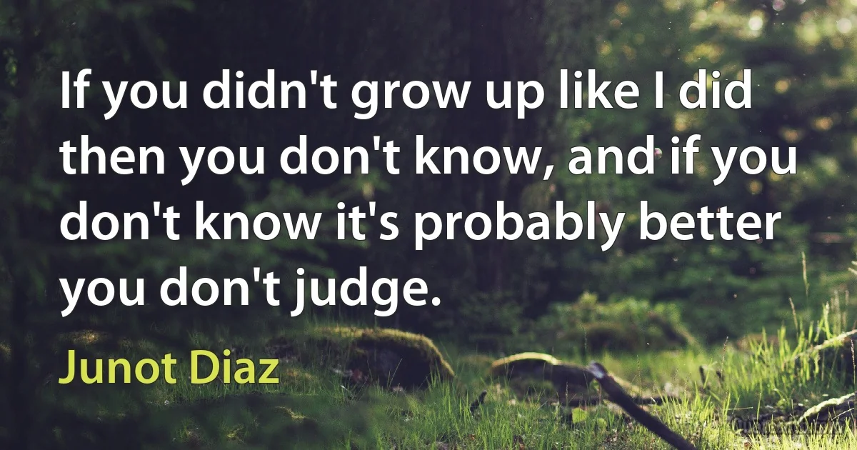 If you didn't grow up like I did then you don't know, and if you don't know it's probably better you don't judge. (Junot Diaz)