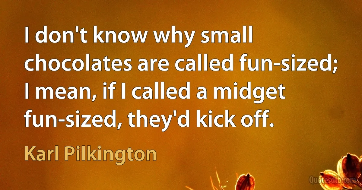 I don't know why small chocolates are called fun-sized; I mean, if I called a midget fun-sized, they'd kick off. (Karl Pilkington)