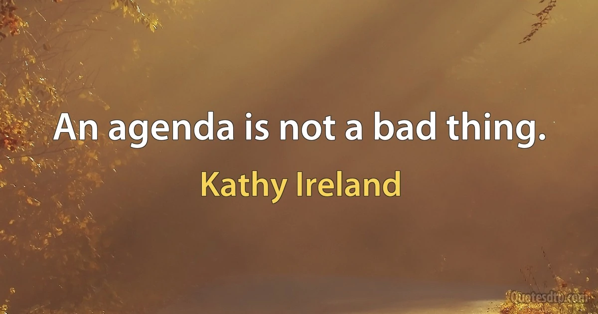 An agenda is not a bad thing. (Kathy Ireland)