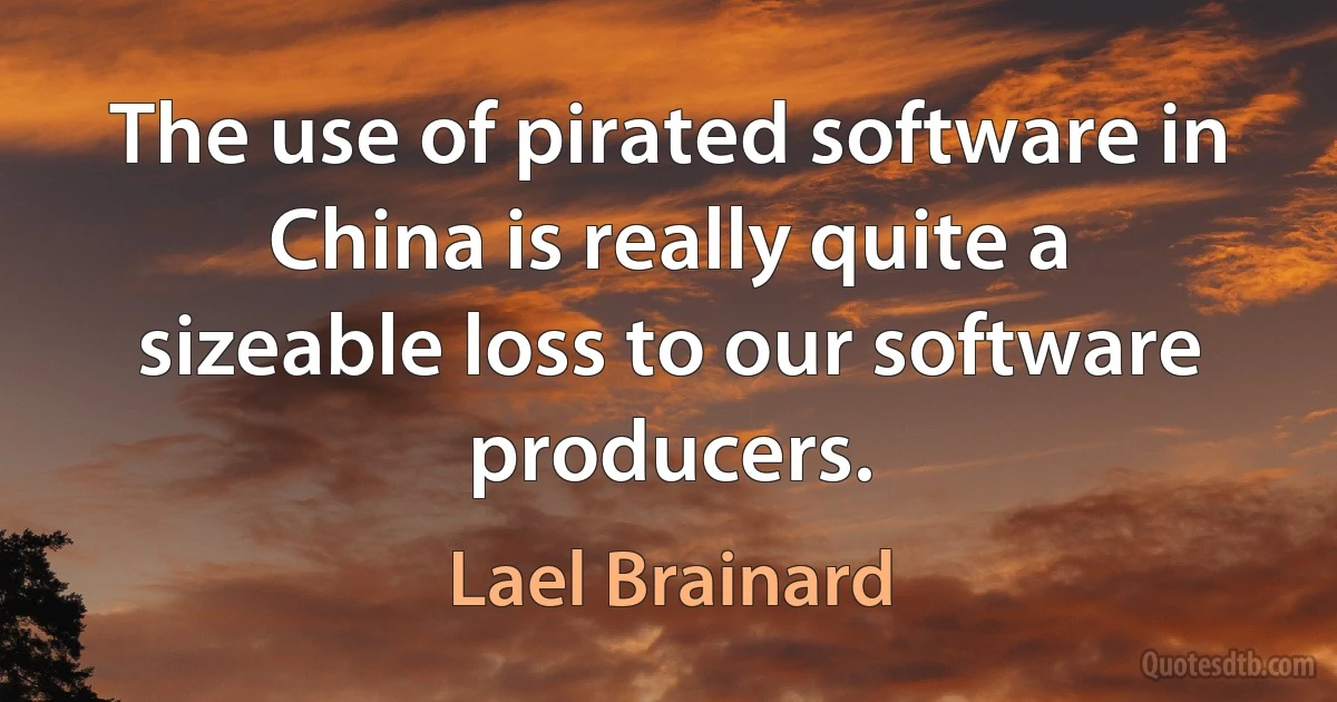 The use of pirated software in China is really quite a sizeable loss to our software producers. (Lael Brainard)