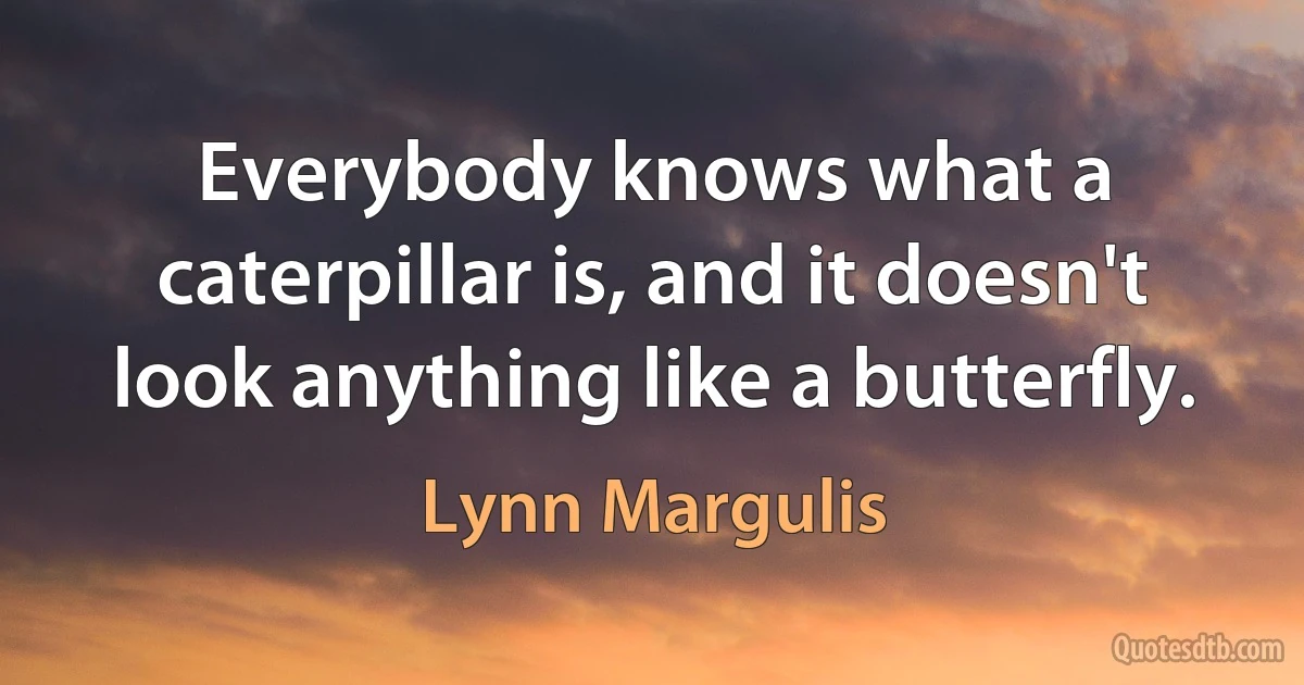 Everybody knows what a caterpillar is, and it doesn't look anything like a butterfly. (Lynn Margulis)