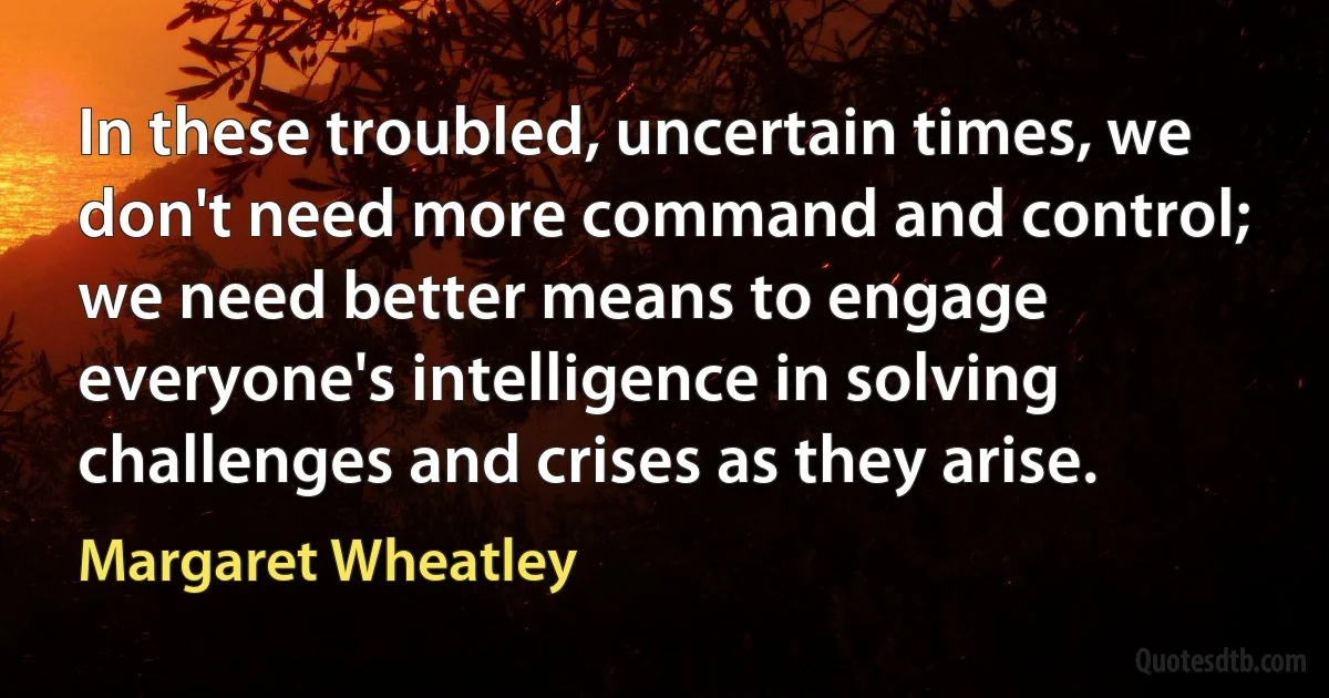 In these troubled, uncertain times, we don't need more command and control; we need better means to engage everyone's intelligence in solving challenges and crises as they arise. (Margaret Wheatley)