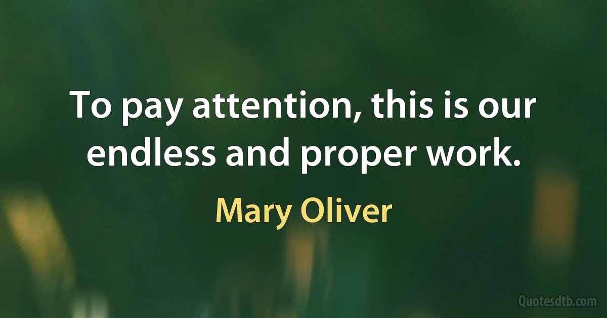 To pay attention, this is our endless and proper work. (Mary Oliver)