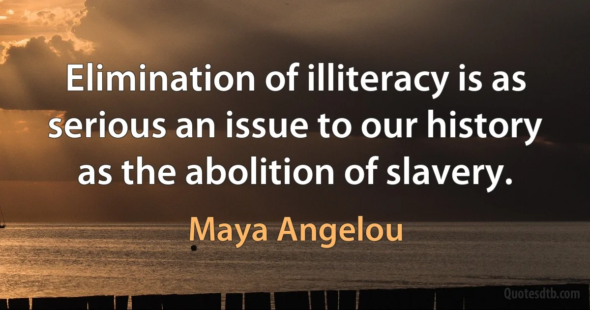 Elimination of illiteracy is as serious an issue to our history as the abolition of slavery. (Maya Angelou)