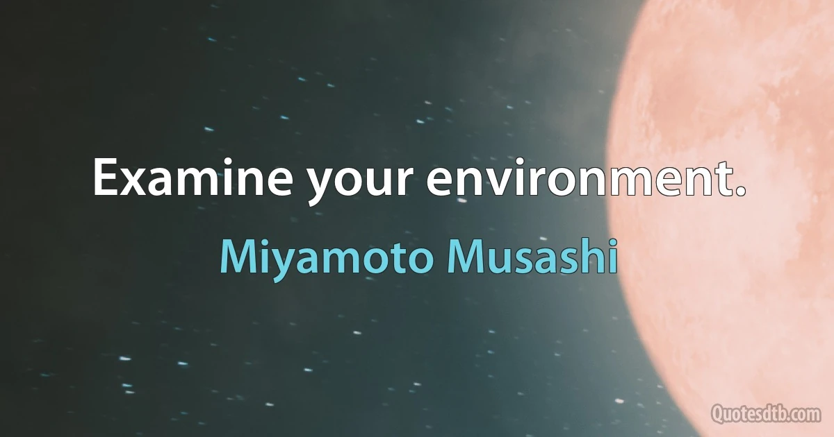 Examine your environment. (Miyamoto Musashi)